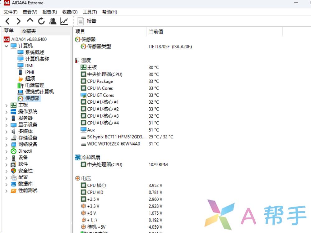 AIDA64 Extreme 6.88中文绿色便携版