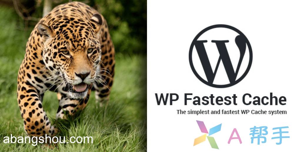 WP Fastest Cache Premium v1.7.0 WordPress静态化缓存插件免费下载