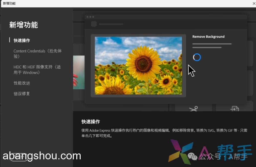 BR2025 中文直装破解版下载 (Adobe Bridge 2025)